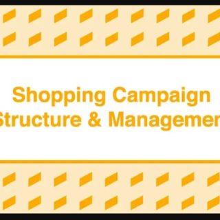 Take Some Risk – Shopping Campaign Structure and Management